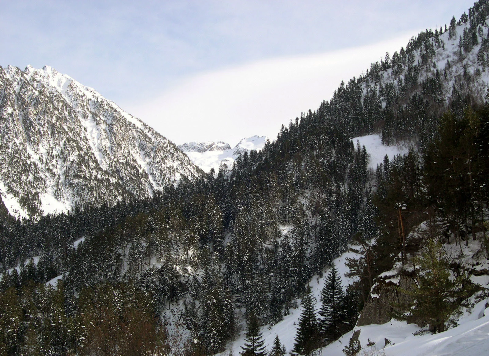 Заснеженные лесистые склоны в окрестностях Cauterets, Франция; архивный кадр 3 марта 2004 года.